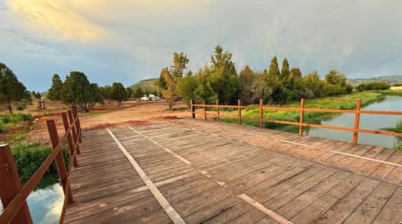 A pond with a wood bridge going over it.