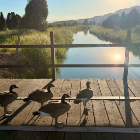 soda-creek-campsite (20)