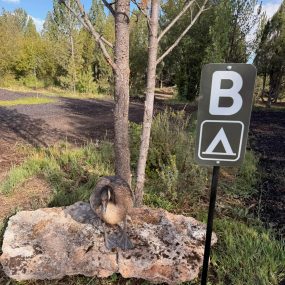 soda-creek-campsite (35)